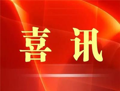 2025年1月8日 第16页